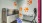 pet spa cleaning equipment J Malden Center apartments on Orange line Boston 